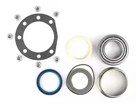 Комплект подшипника ступицы колеса BSG купить